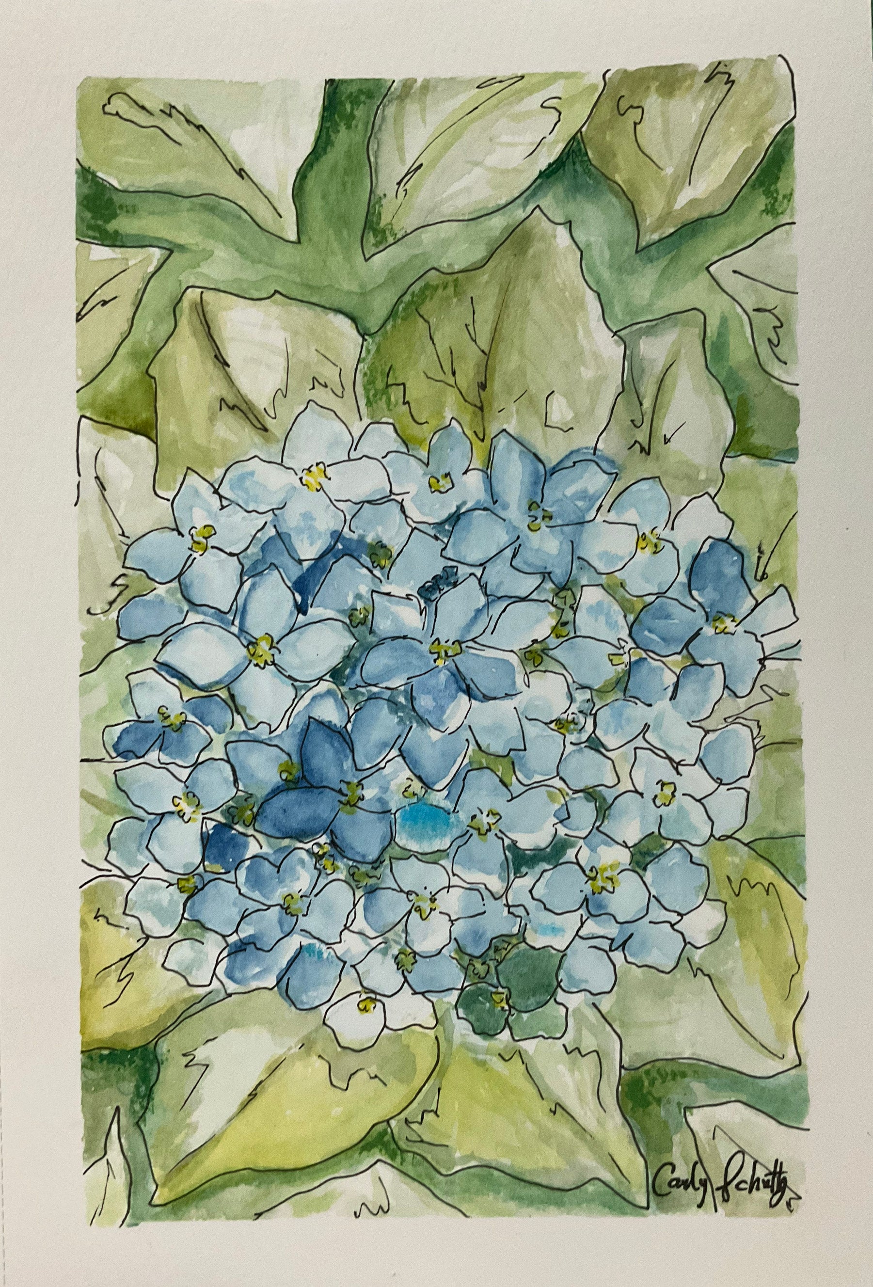 Blue Hydrangeas, 5.5 x 8.5 Original